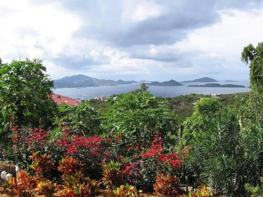 Cielo Vista Villa 3 Bdrm Sleeps 6 Heavenly View Cruz Bay Eksteriør billede